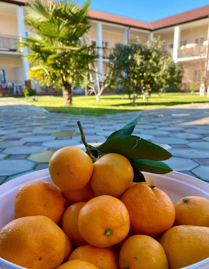 Lidzava Hotel Solntse Abkhazii المظهر الخارجي الصورة
