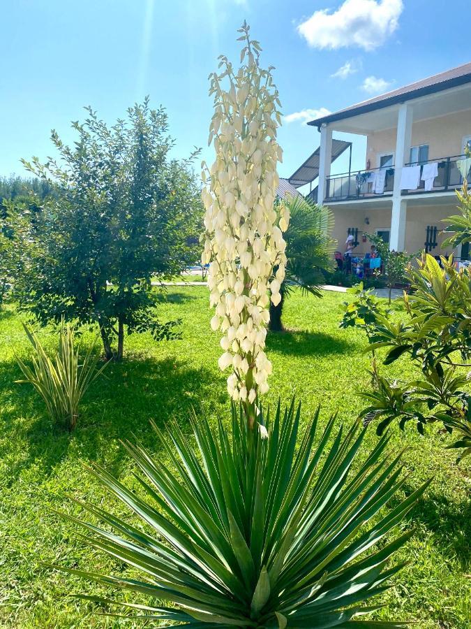 Lidzava Hotel Solntse Abkhazii المظهر الخارجي الصورة