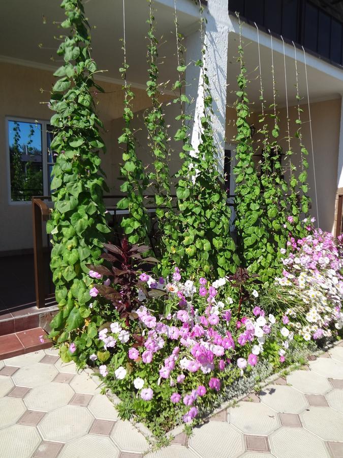 Lidzava Hotel Solntse Abkhazii المظهر الخارجي الصورة